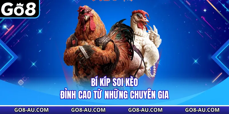 Bí kíp soi kèo đỉnh cao từ những chuyên gia